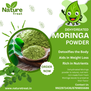 Home nature treat mascot 3.png